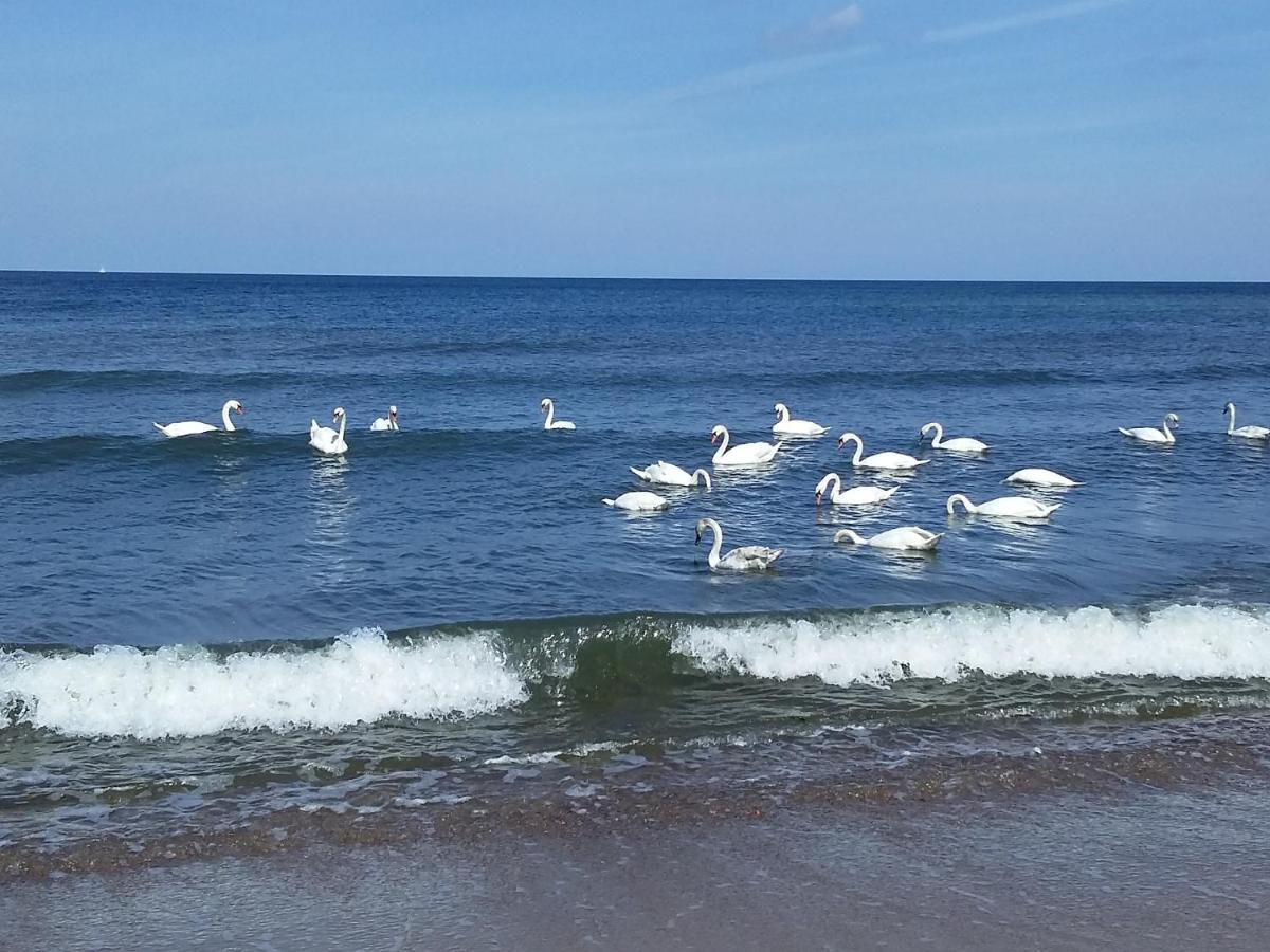 Sea & You Apartament Z Widokiem Na Morze - Dwie Sosny Ustronie Morskie Esterno foto